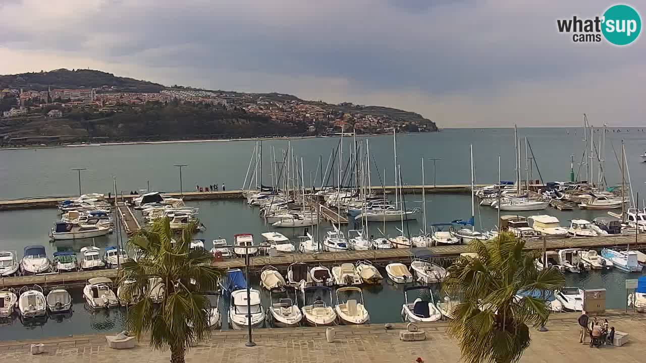 Webcam Koper – Panorama of the marina and promenade from the Grand Hotel Koper
