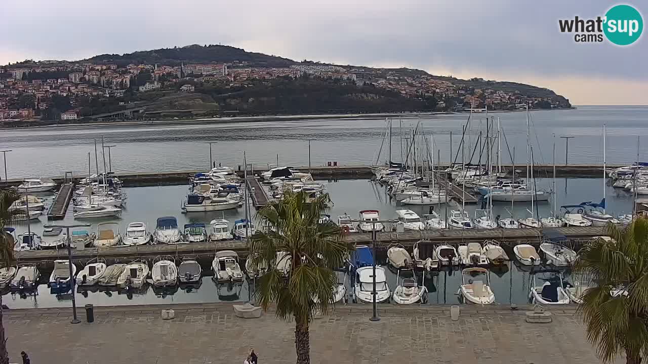 Webcam Koper – Panorama of the marina and promenade from the Grand Hotel Koper