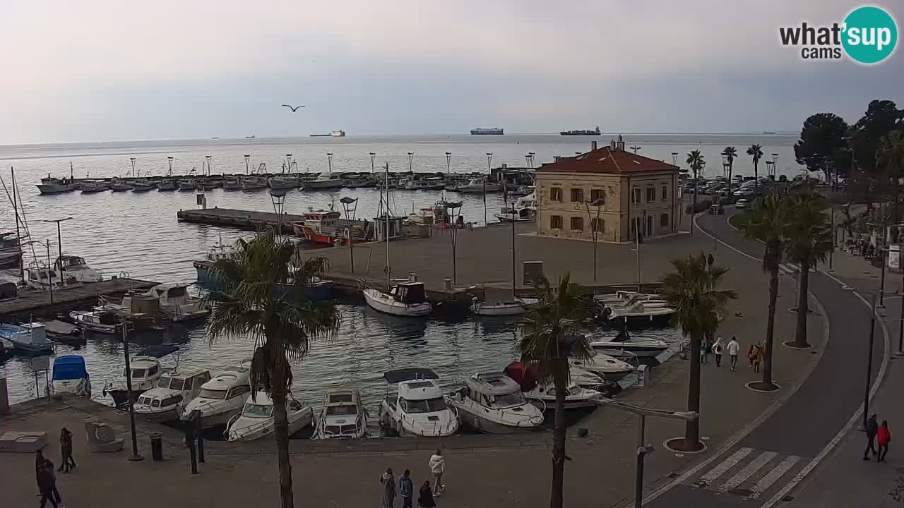 Webcam Koper – Panorama de la marina et de la promenade depuis le Grand Hotel Koper