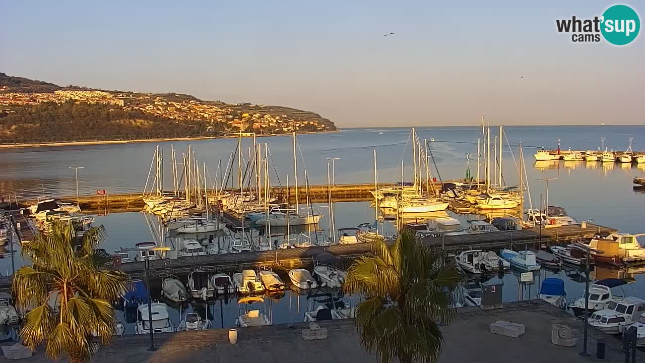 Webcam Koper – Panorama of the marina and promenade from the Grand Hotel Koper