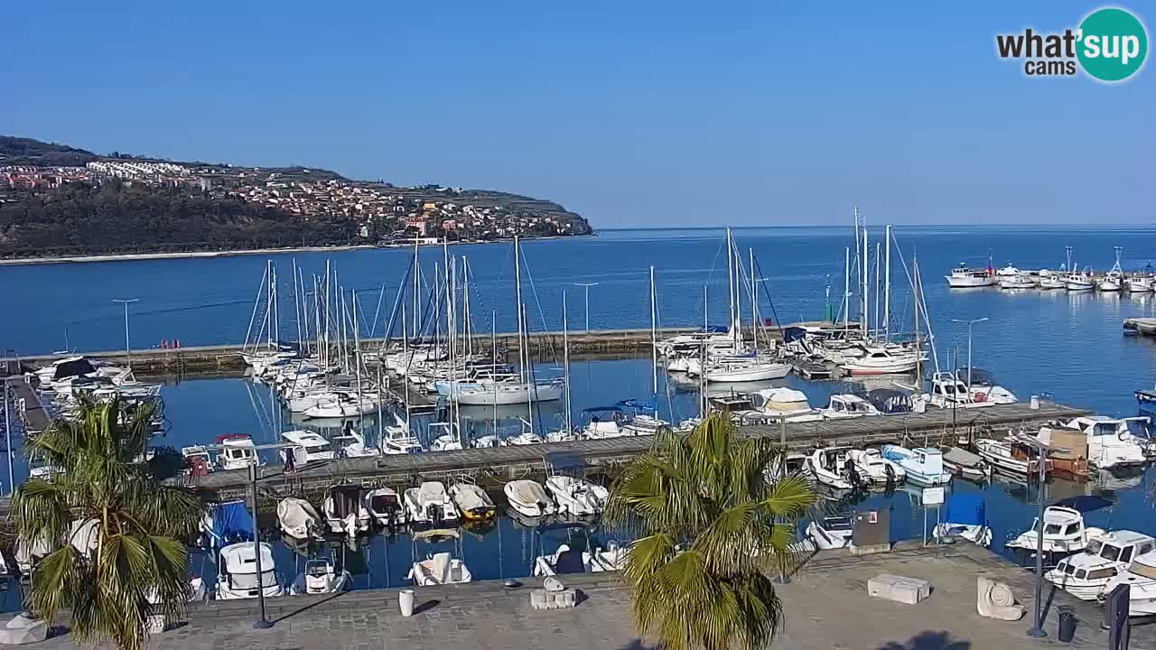 Webcam Koper – Panorama of the marina and promenade from the Grand Hotel Koper