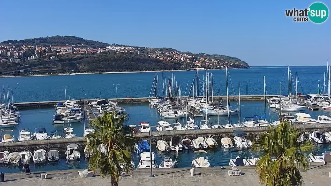 Webcam Koper – Panorama des Jachthafens und der Promenade vom Hotel Grand Koper