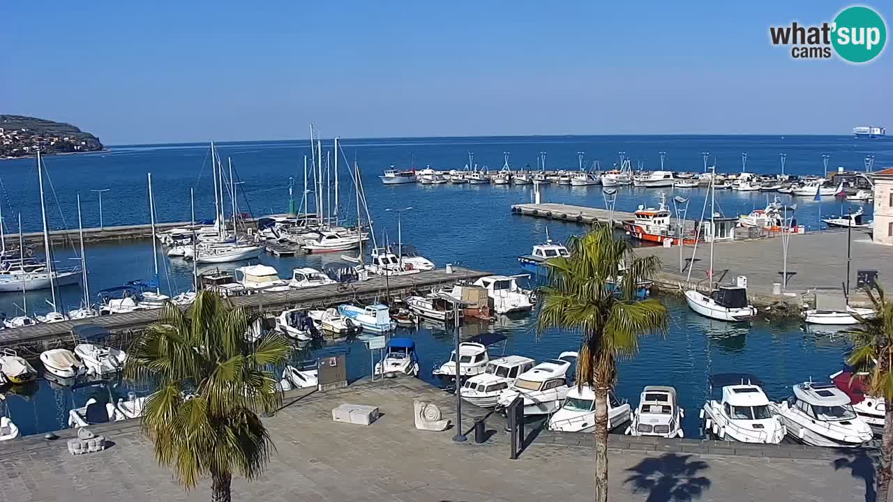 Der Hafen von Koper Live-Webcam – Kreuzfahrt- und Frachthafen – Slowenien