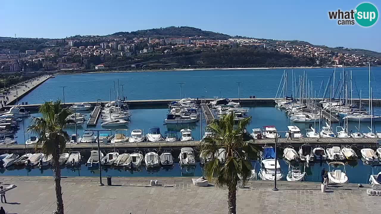 Webcam Koper – Panorama de la marina et de la promenade depuis le Grand Hotel Koper