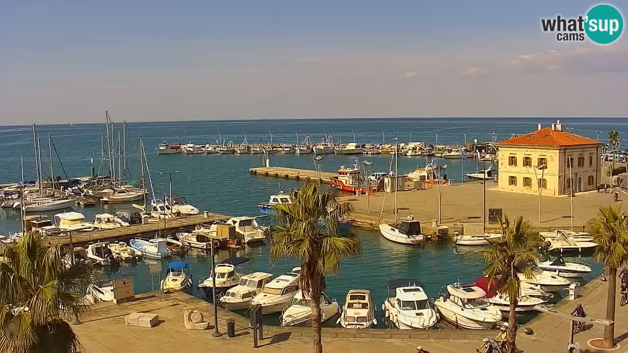Camera en vivo Koper – puerto deportivo y paseo marítimo desde el Hotel Grand Koper