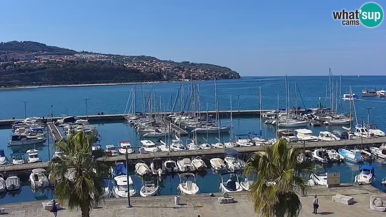 Camera en vivo Koper – puerto deportivo y paseo marítimo desde el Hotel Grand Koper