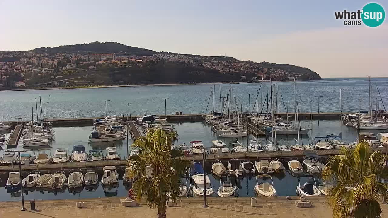 Spletna kamera Koper – Panorama na marino in promenado s Hotela Grand Koper