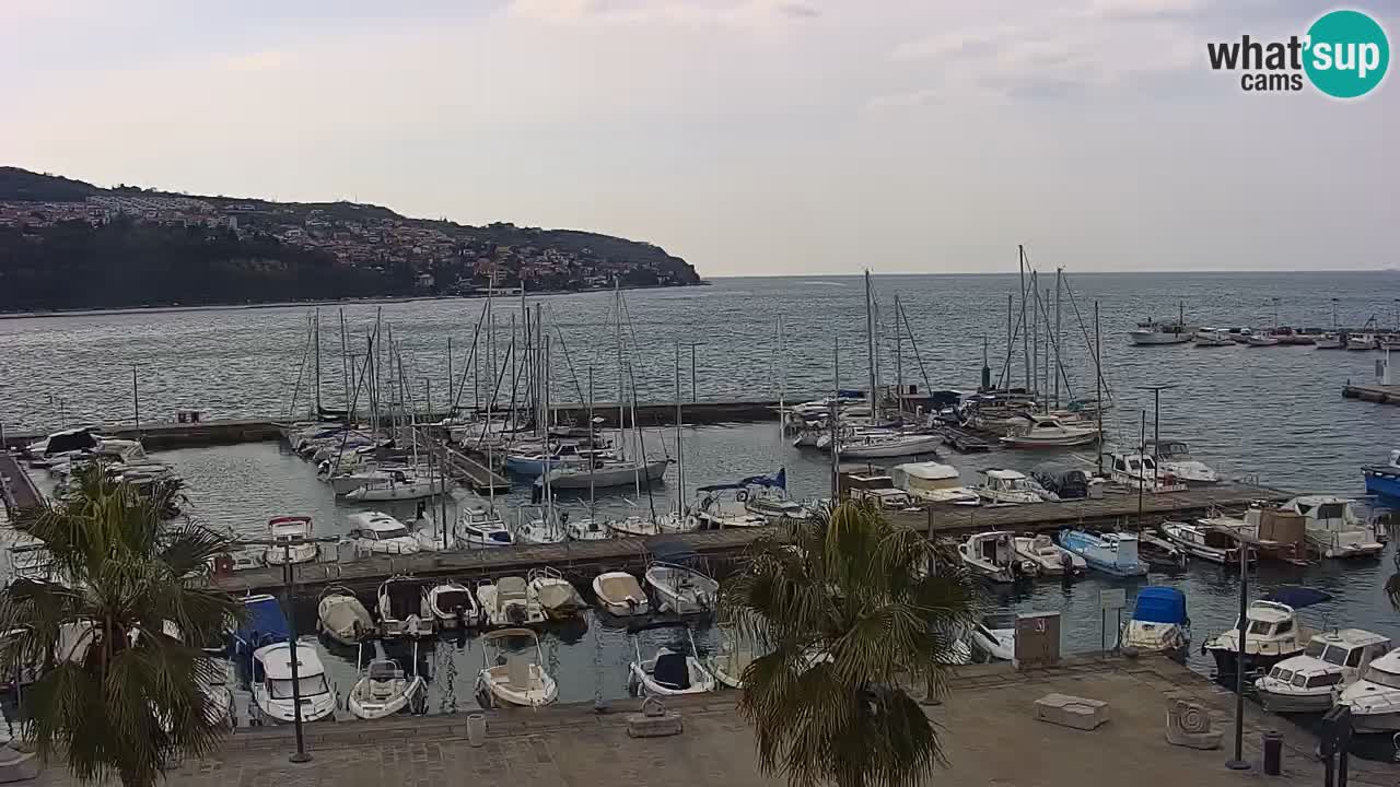 Web kamera Koper – marina i promenada – hotel Grand Koper