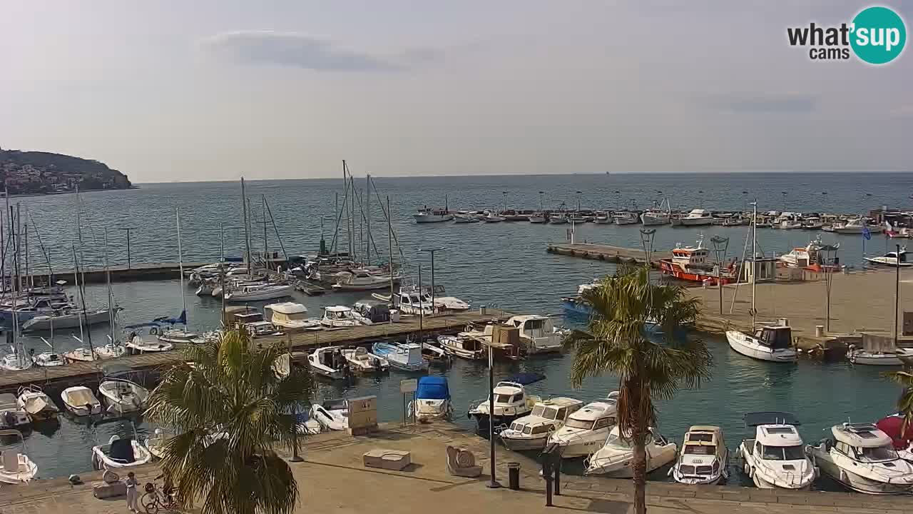 Camera en vivo Koper – puerto deportivo y paseo marítimo desde el Hotel Grand Koper