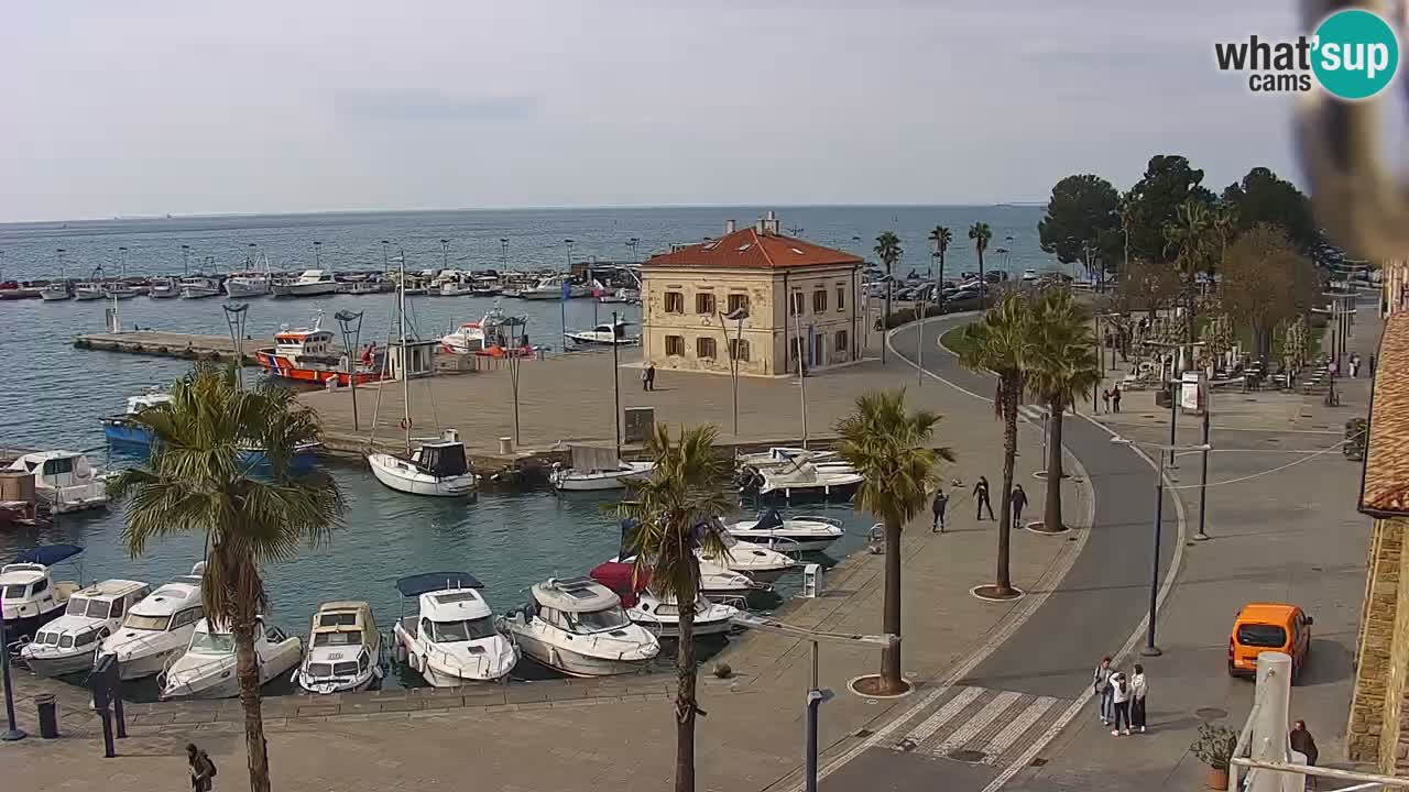 Spletna kamera Koper – Panorama na marino in promenado s Hotela Grand Koper
