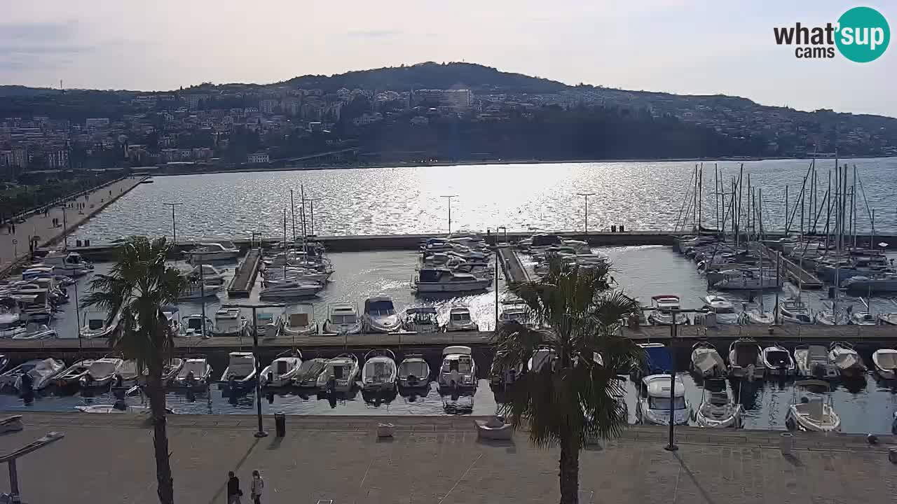 Web kamera Koper – marina i promenada – hotel Grand Koper