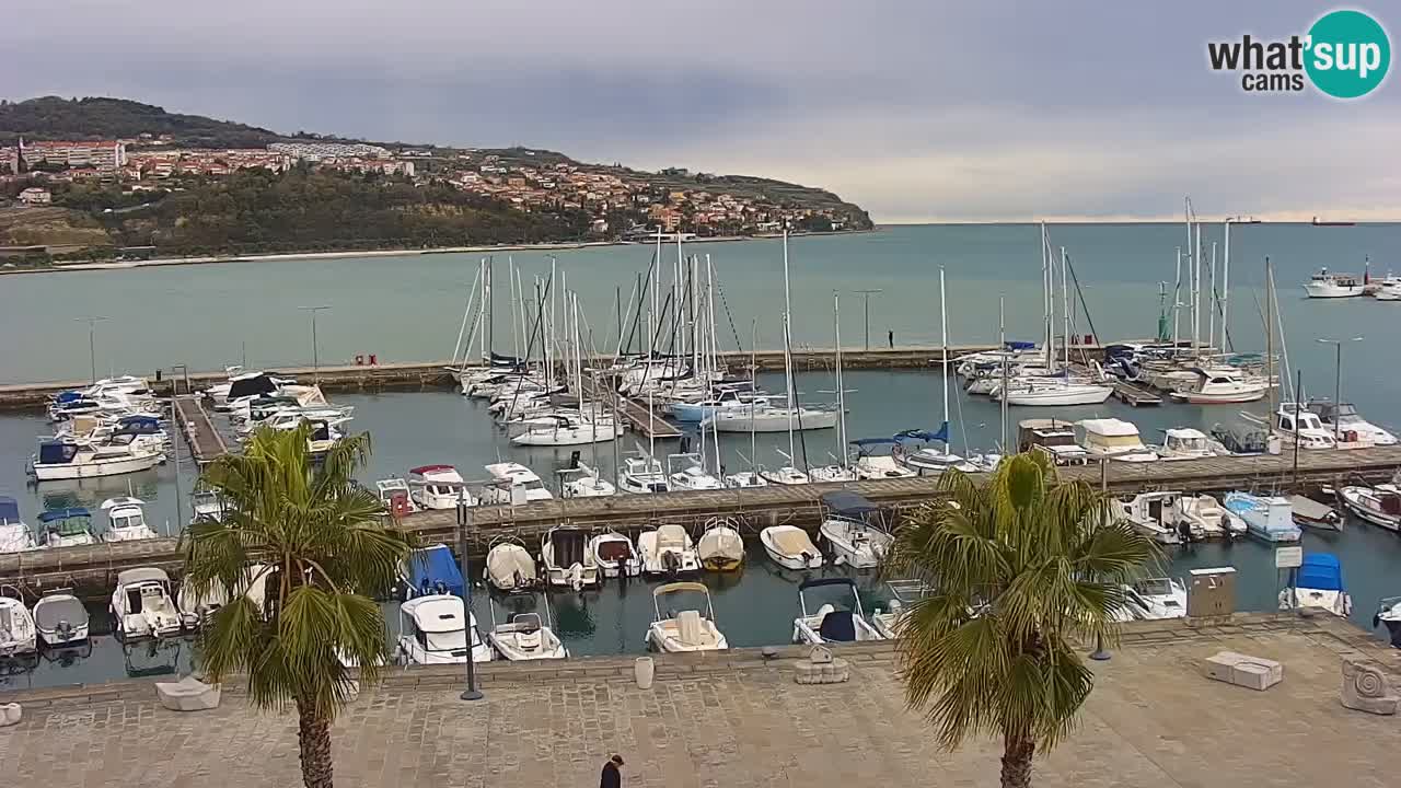 Webcam Koper – Panorama de la marina et de la promenade depuis le Grand Hotel Koper