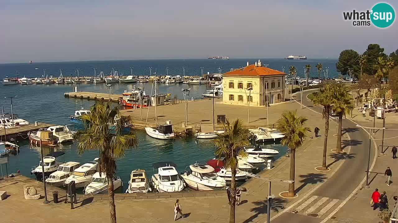 Web kamera Koper – marina i promenada – hotel Grand Koper