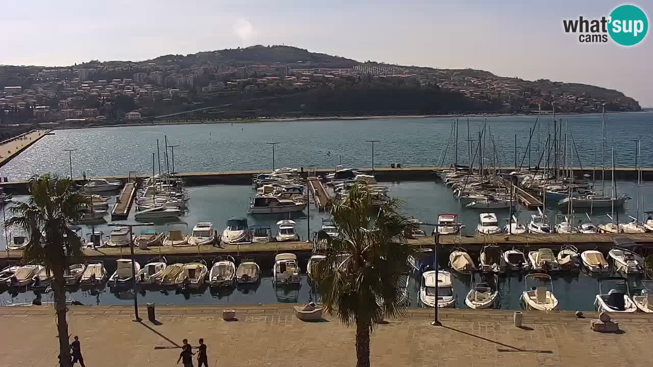 Web kamera Koper – marina i promenada – hotel Grand Koper