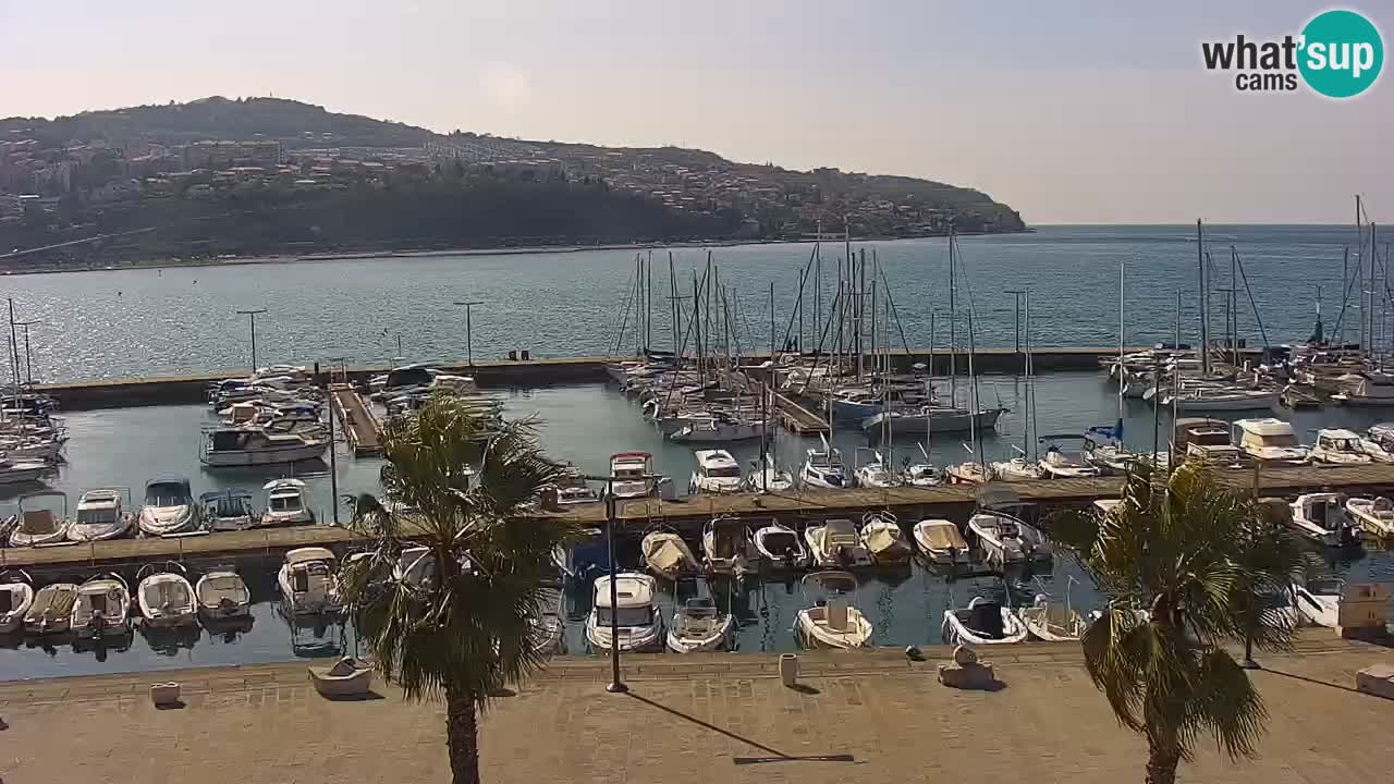 Web kamera Koper – marina i promenada – hotel Grand Koper