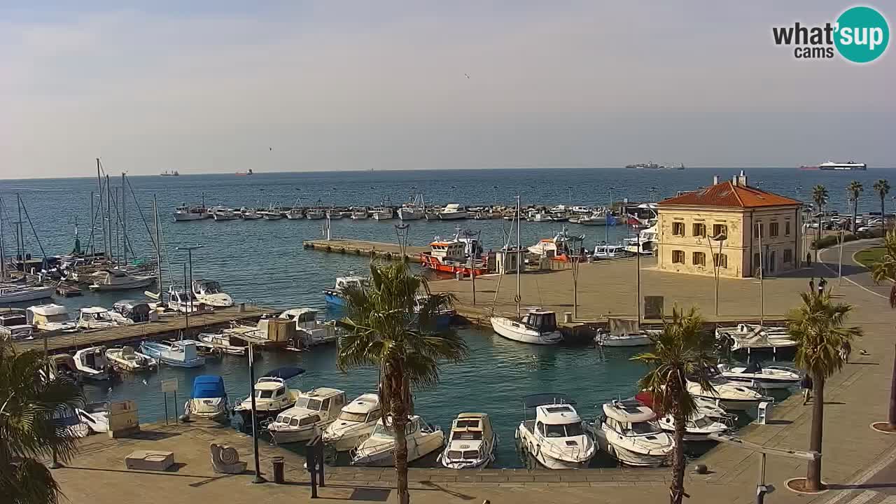 Spletna kamera Koper – Panorama na marino in promenado s Hotela Grand Koper