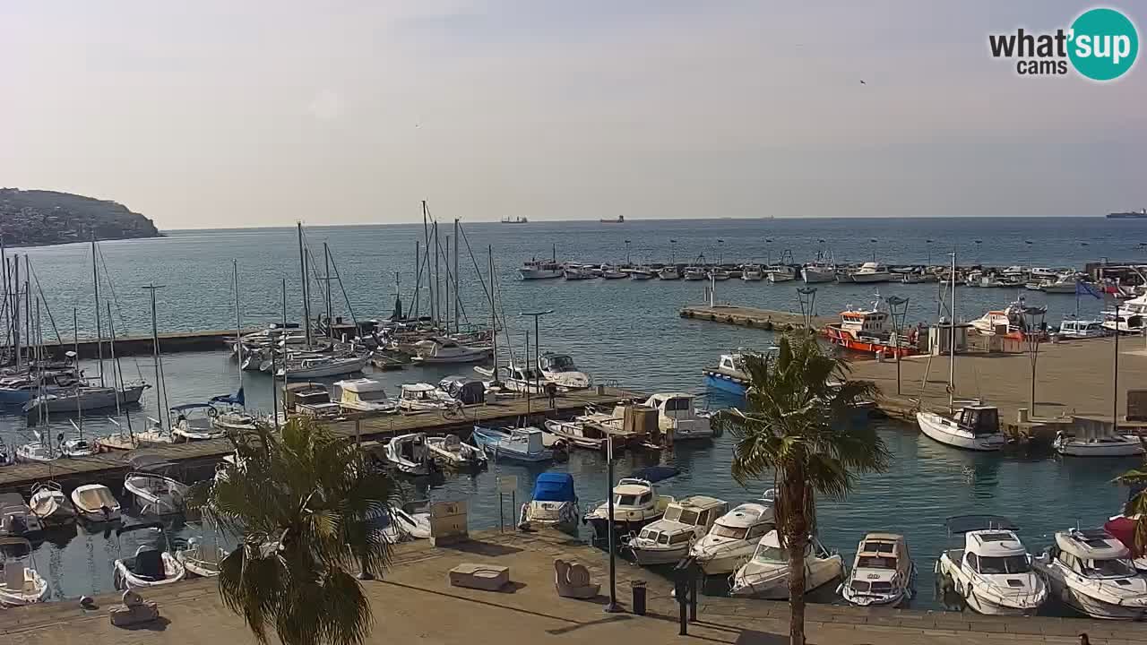 Camera en vivo Koper – puerto deportivo y paseo marítimo desde el Hotel Grand Koper