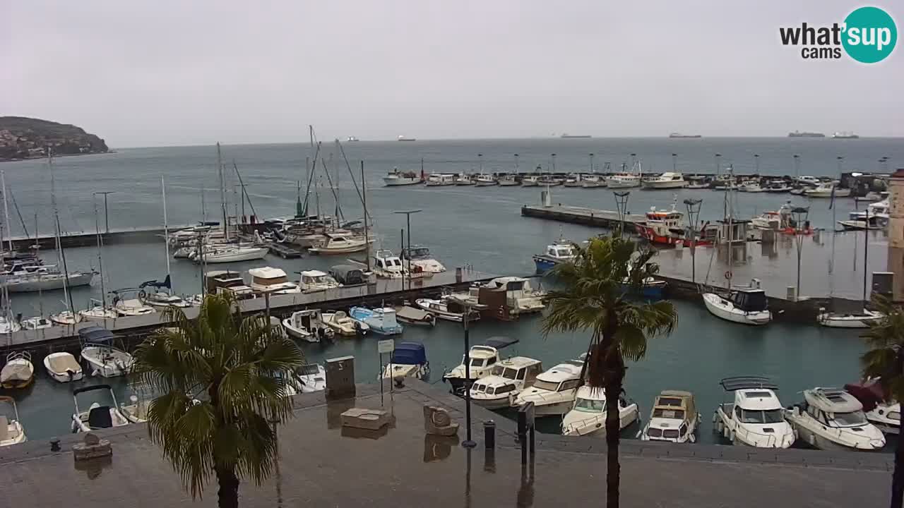 Spletna kamera Koper – Panorama na marino in promenado s Hotela Grand Koper