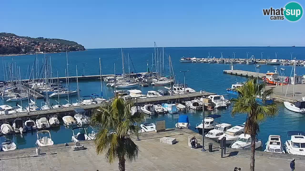 Web kamera Koper – marina i promenada – hotel Grand Koper