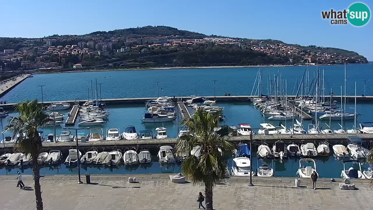 Webcam Koper – Panorama de la marina et de la promenade depuis le Grand Hotel Koper