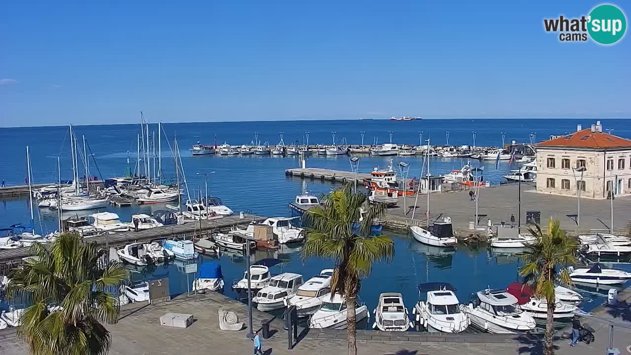 Spletna kamera Koper – Panorama na marino in promenado s Hotela Grand Koper