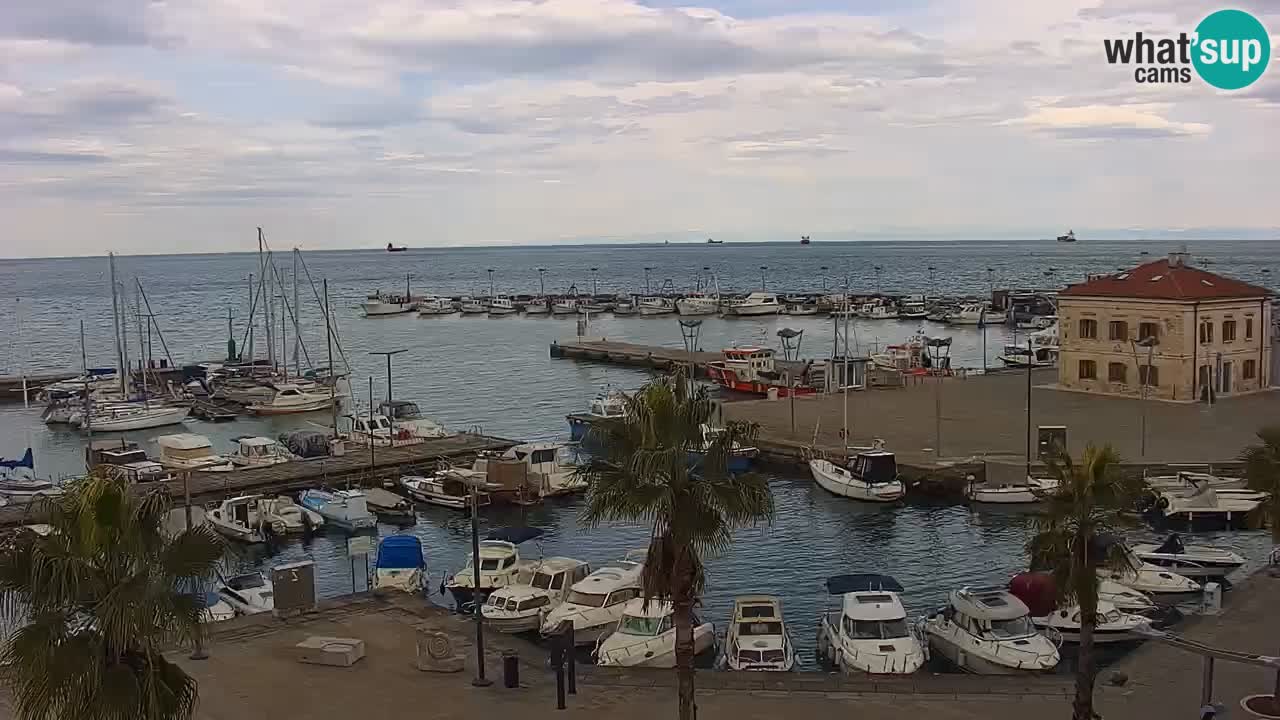 Spletna kamera Koper – Panorama na marino in promenado s Hotela Grand Koper