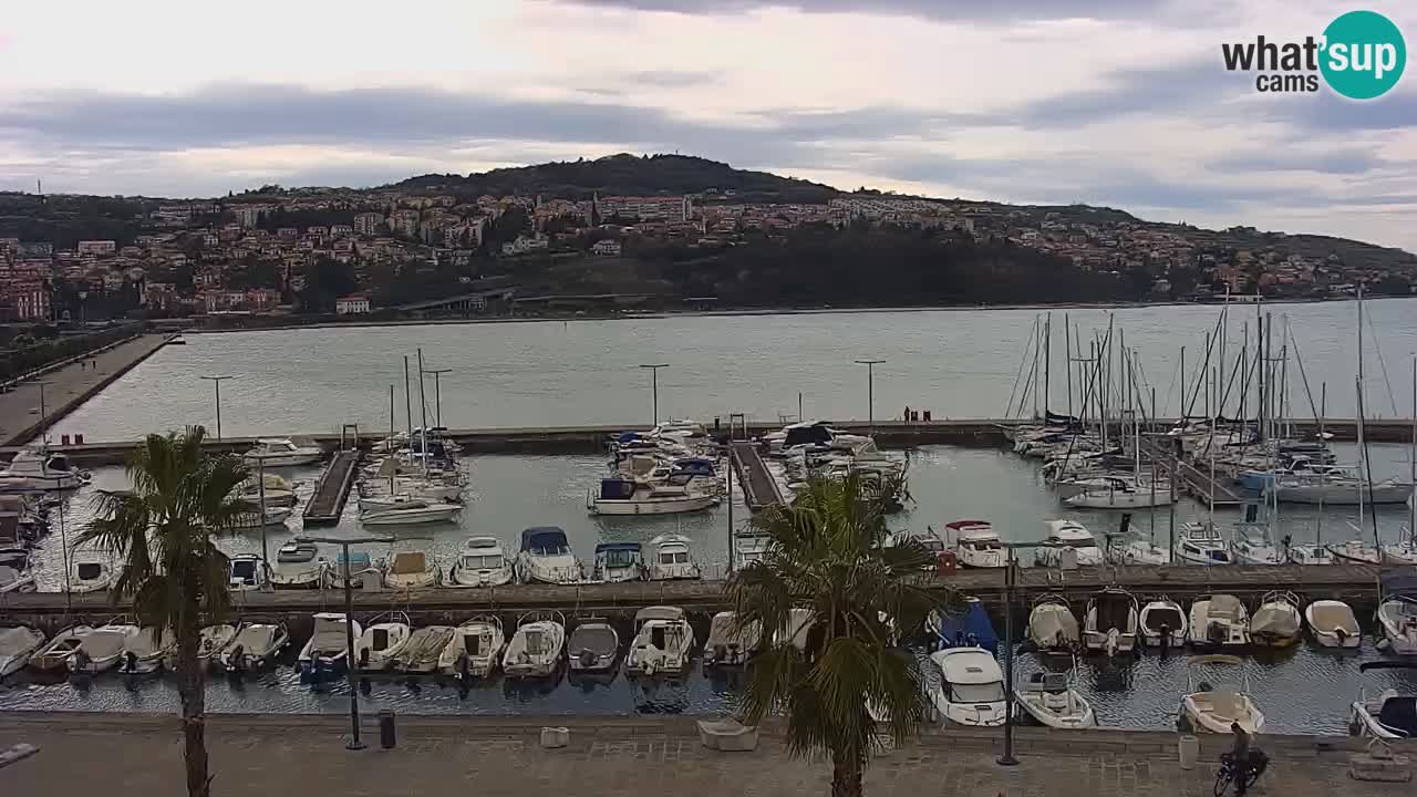 Spletna kamera Koper – Panorama na marino in promenado s Hotela Grand Koper