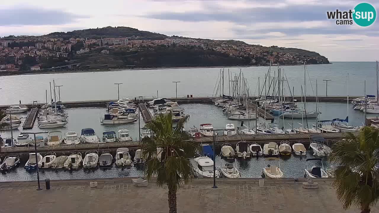 Webcam Koper – Panorama des Jachthafens und der Promenade vom Hotel Grand Koper