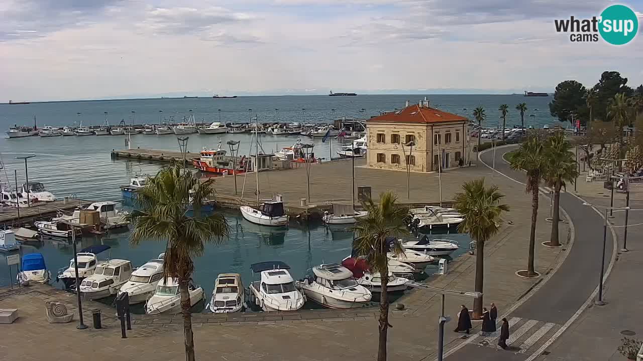 Spletna kamera Koper – Panorama na marino in promenado s Hotela Grand Koper