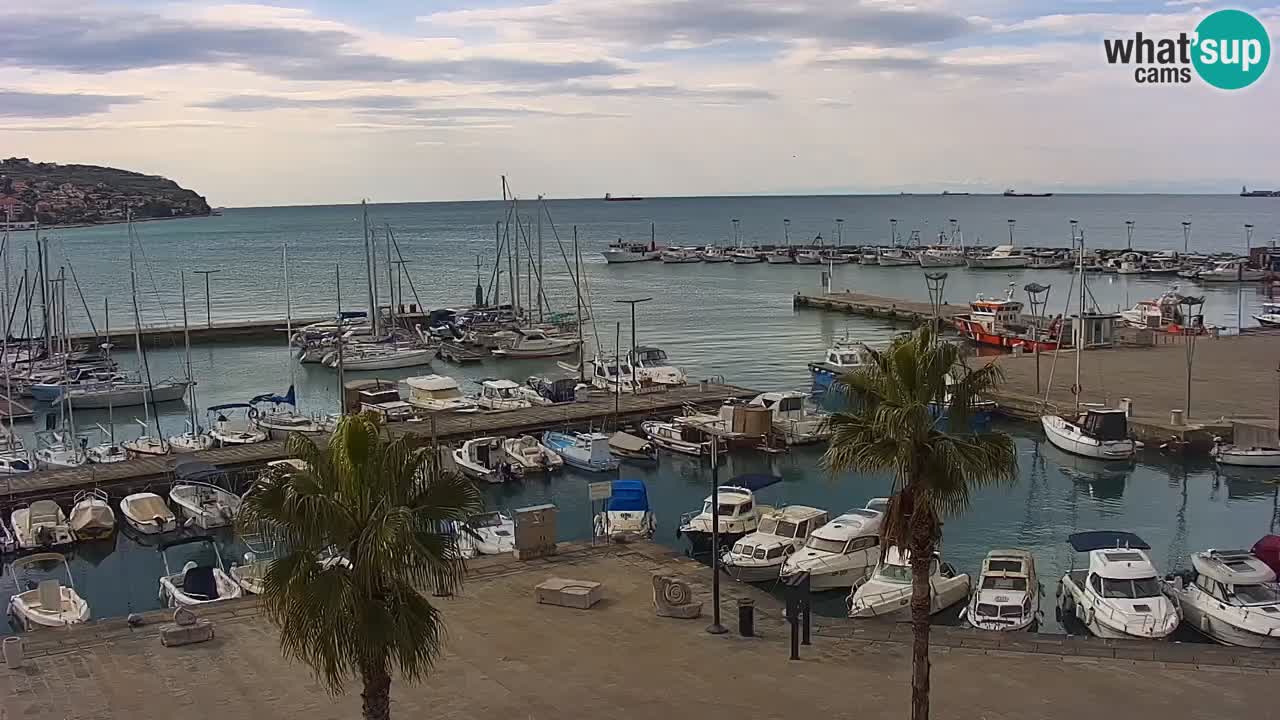 Luka Kopar uživo web kamera – Turistički terminal i teretna luka – Slovenija