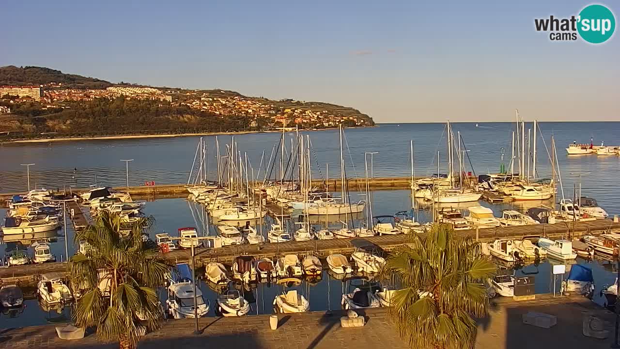Webcam Koper – Panorama des Jachthafens und der Promenade vom Hotel Grand Koper