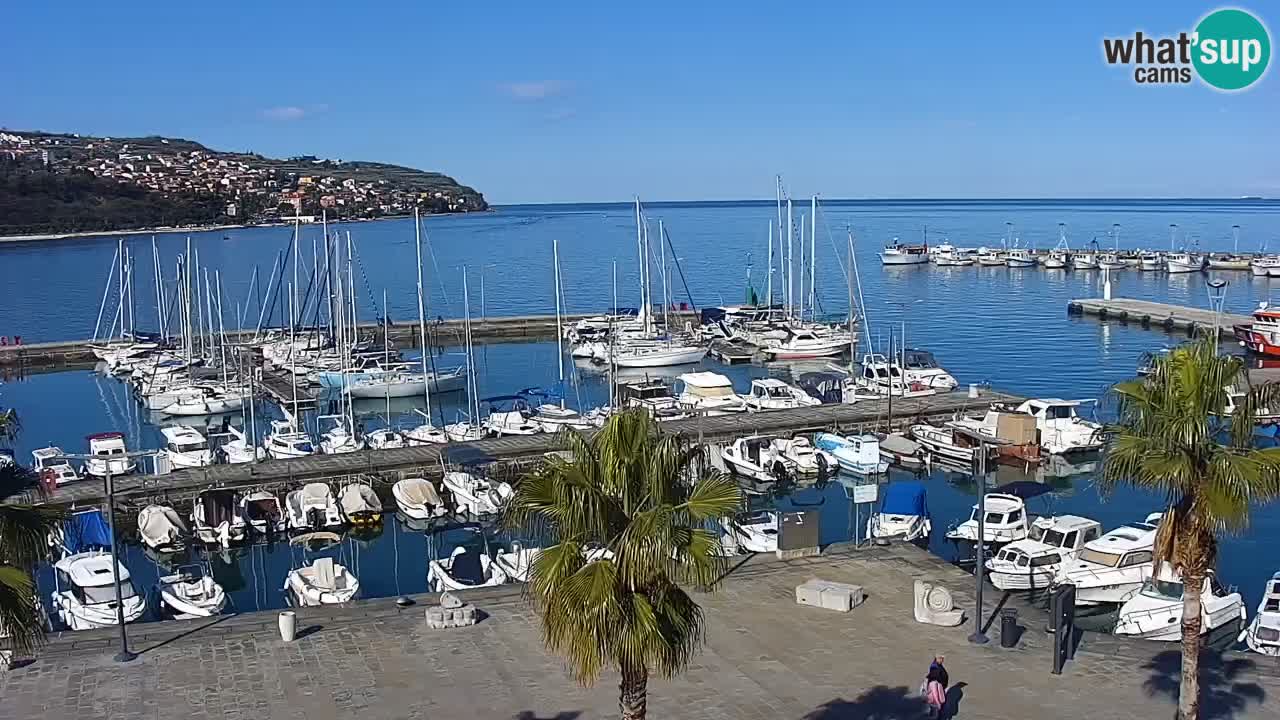 Webcam Koper – Panorama des Jachthafens und der Promenade vom Hotel Grand Koper