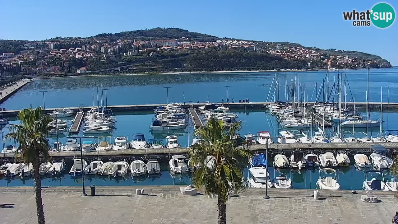 Webcam Koper – Panorama des Jachthafens und der Promenade vom Hotel Grand Koper