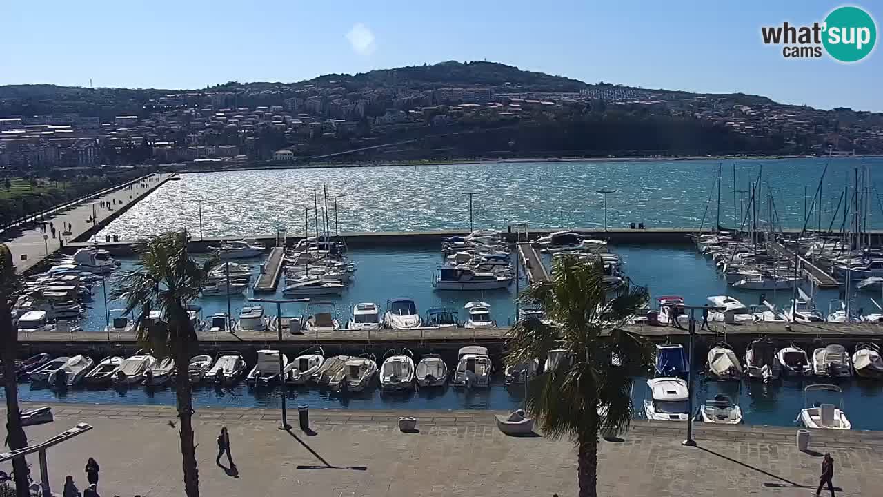 Webcam Koper – Panorama of the marina and promenade from the Grand Hotel Koper
