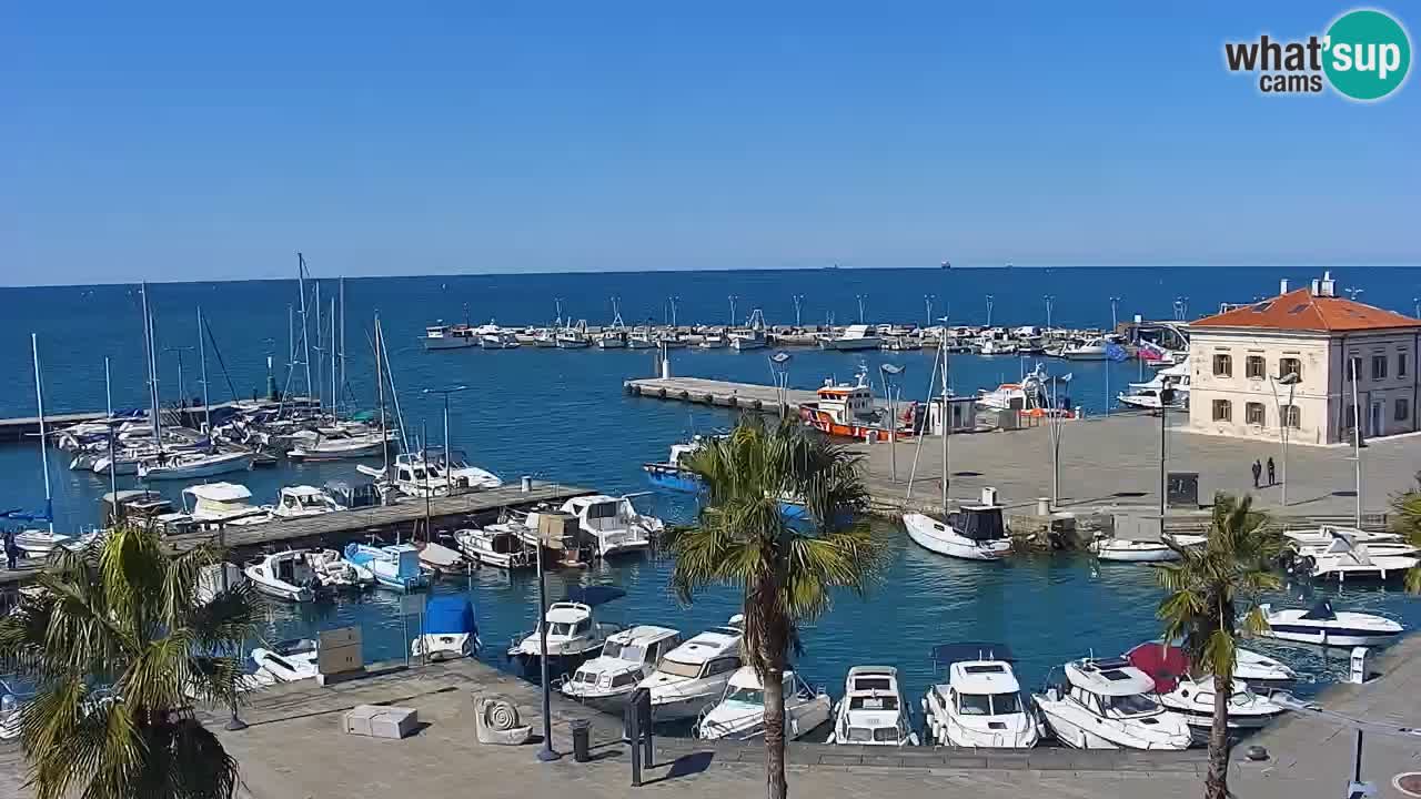 Webcam Koper – Panorama of the marina and promenade from the Grand Hotel Koper