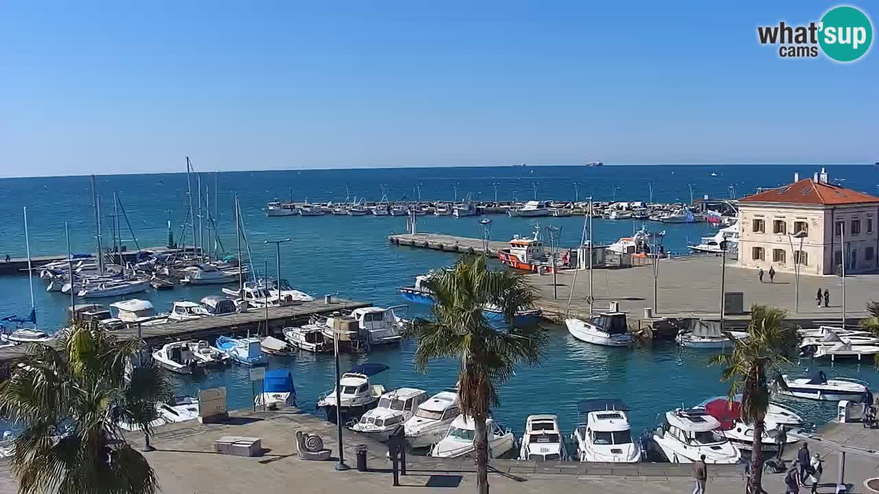 Camera en vivo Koper – puerto deportivo y paseo marítimo desde el Hotel Grand Koper