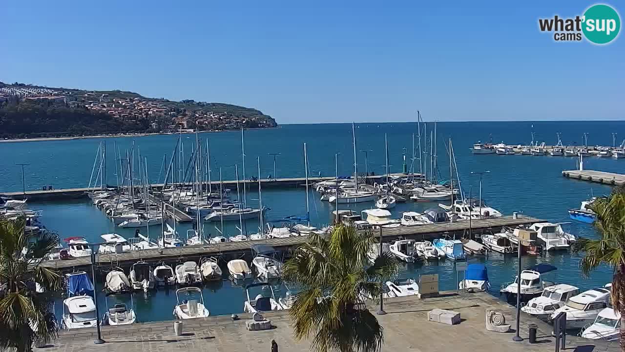 Webcam Capodistria – marina e lungo mare dall’Hotel Grand Koper