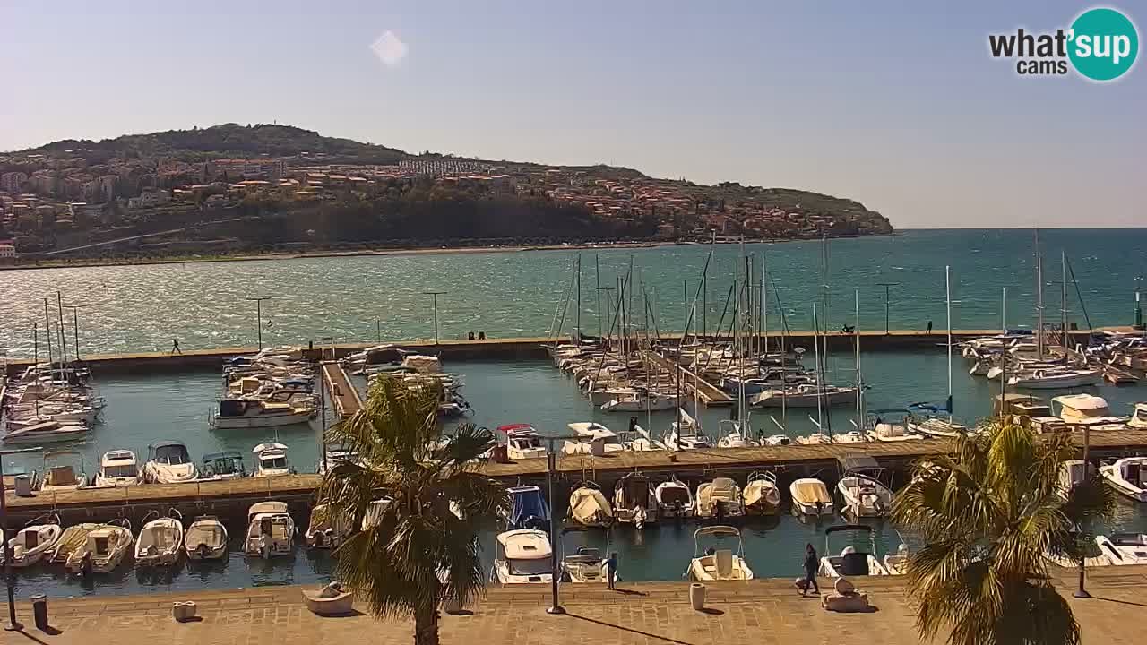 Webcam Koper – Panorama de la marina et de la promenade depuis le Grand Hotel Koper