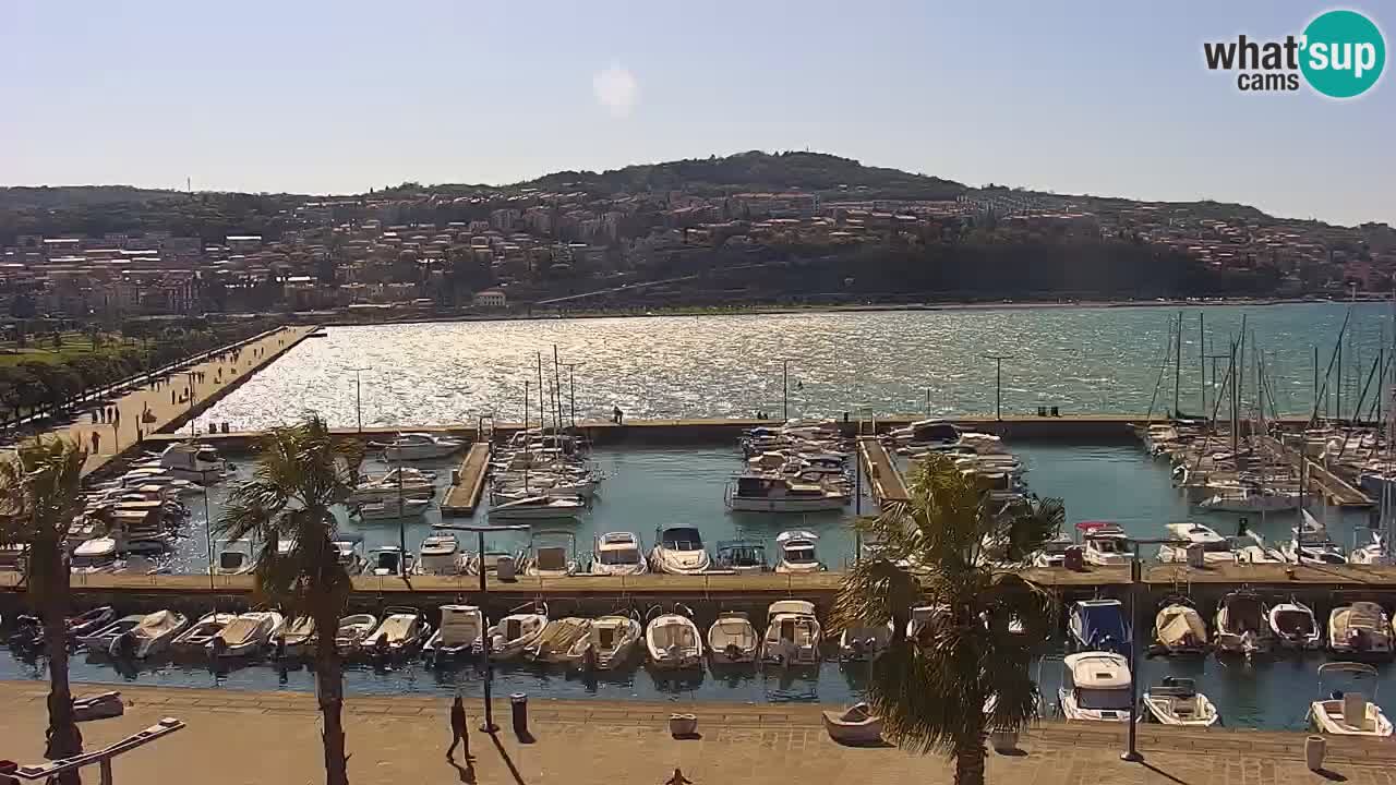 Webcam Koper – Panorama of the marina and promenade from the Grand Hotel Koper