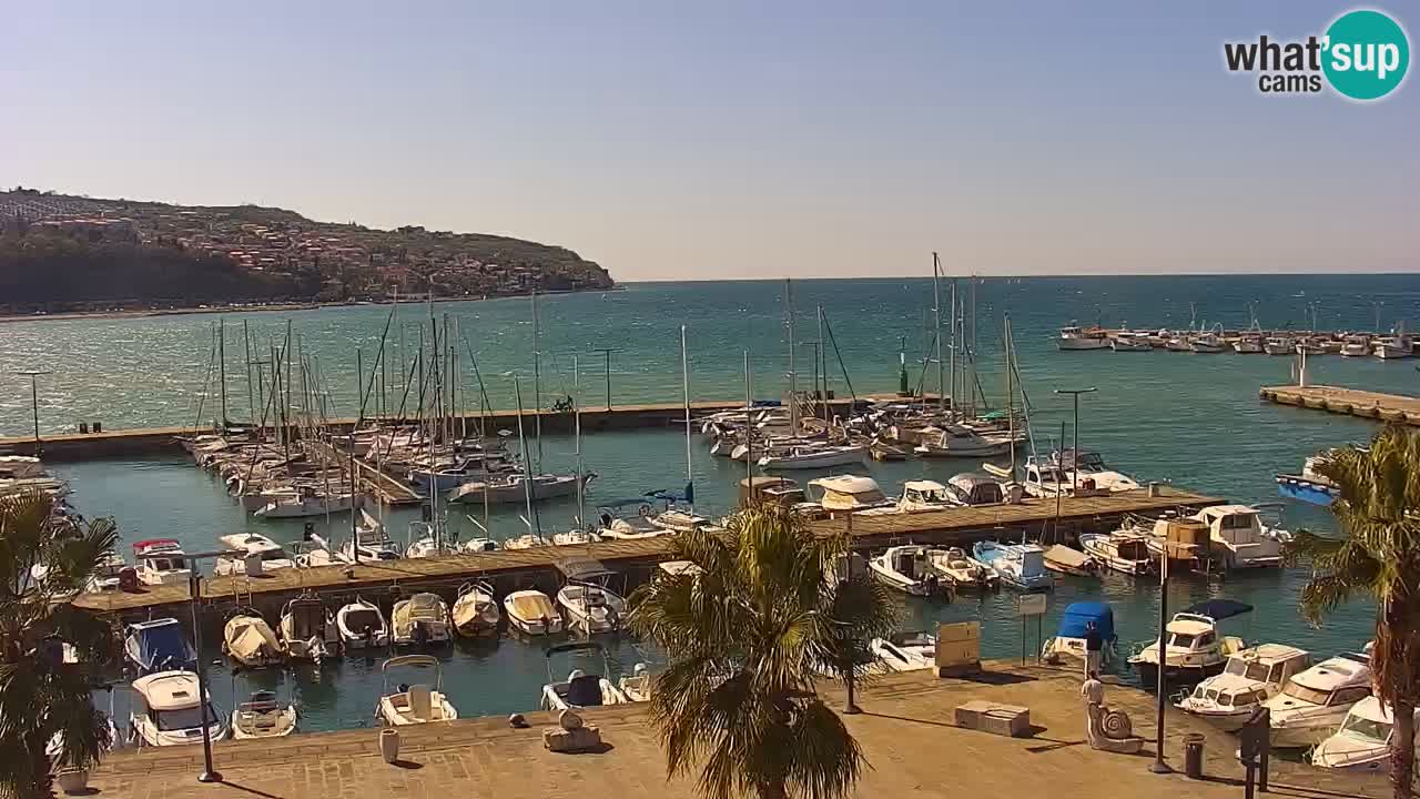 Webcam Koper – Panorama des Jachthafens und der Promenade vom Hotel Grand Koper