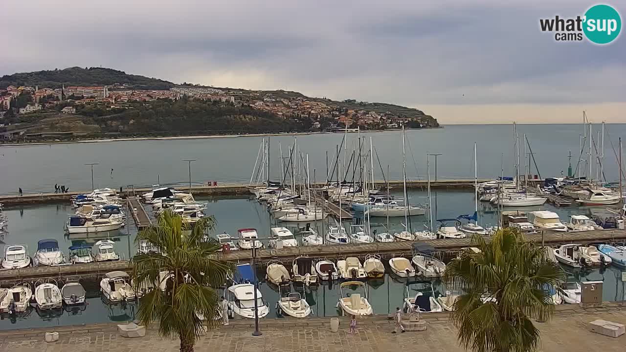 Webcam Koper – Panorama des Jachthafens und der Promenade vom Hotel Grand Koper