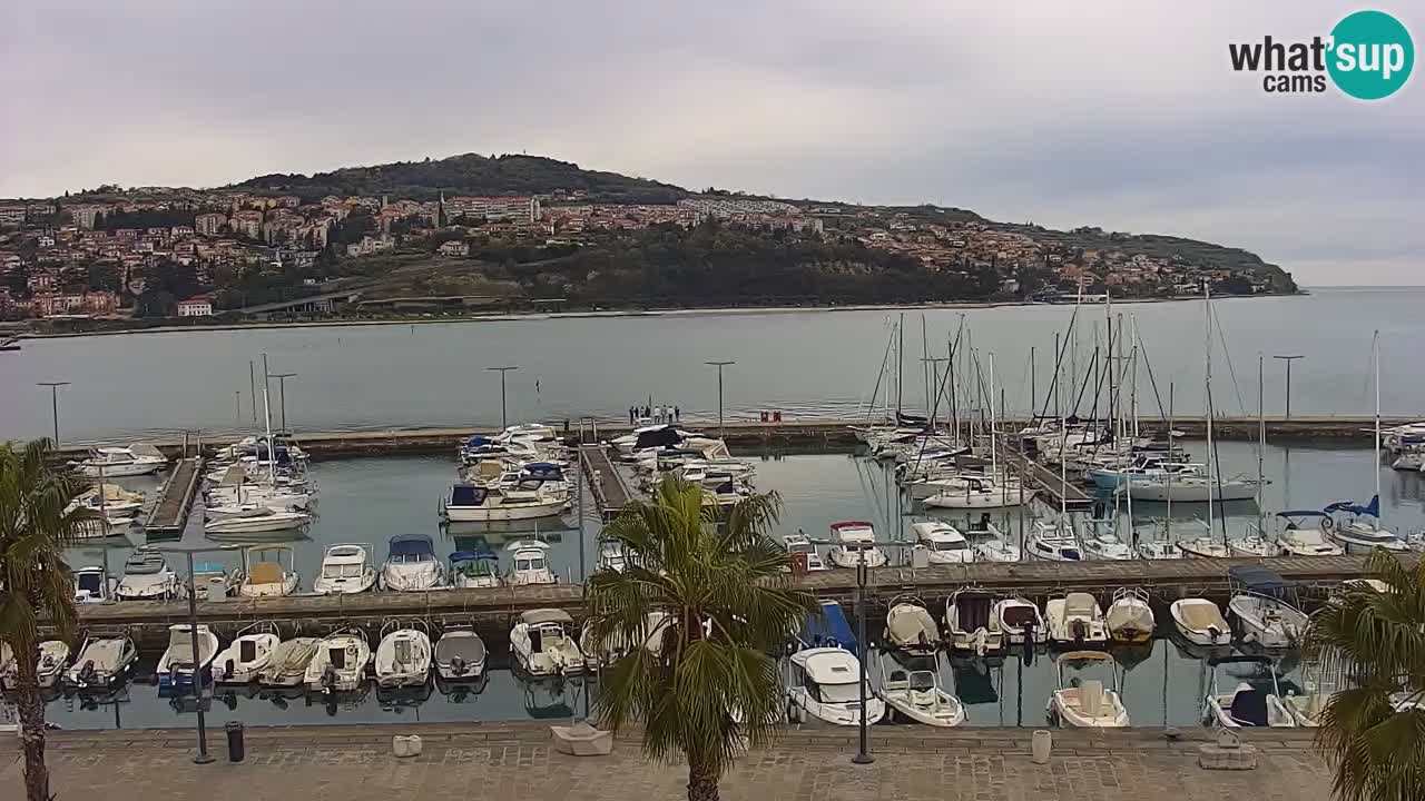 Web kamera Koper – marina i promenada – hotel Grand Koper