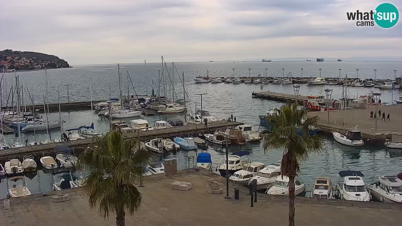 Webcam Koper – Panorama des Jachthafens und der Promenade vom Hotel Grand Koper