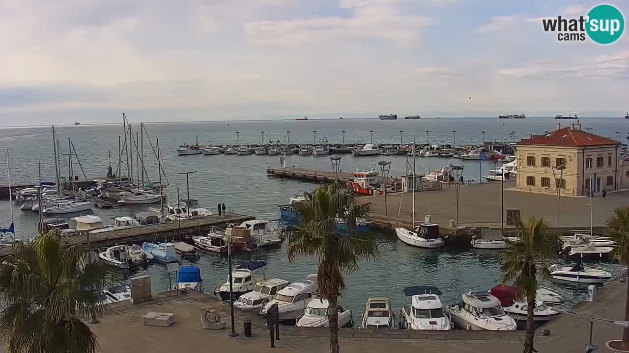 Spletna kamera Koper – Panorama na marino in promenado s Hotela Grand Koper
