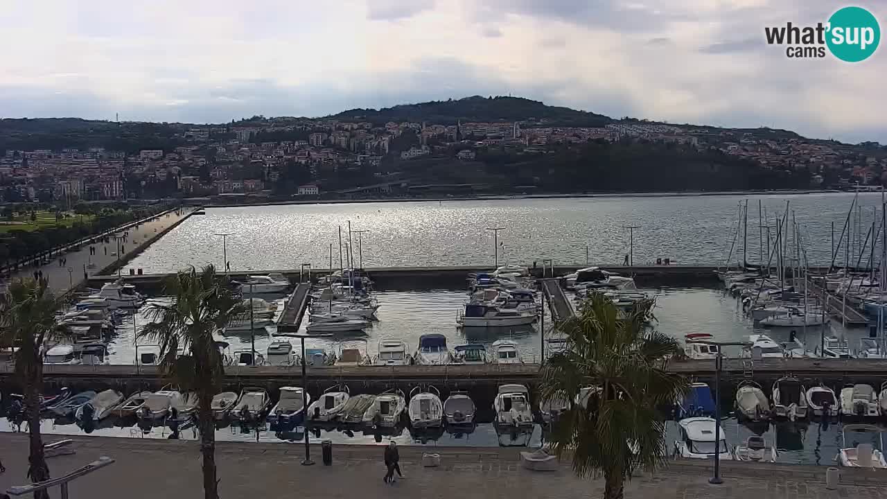Spletna kamera Luka Koper v živo – Potniški terminal in tovorno pristanišče – Slovenija