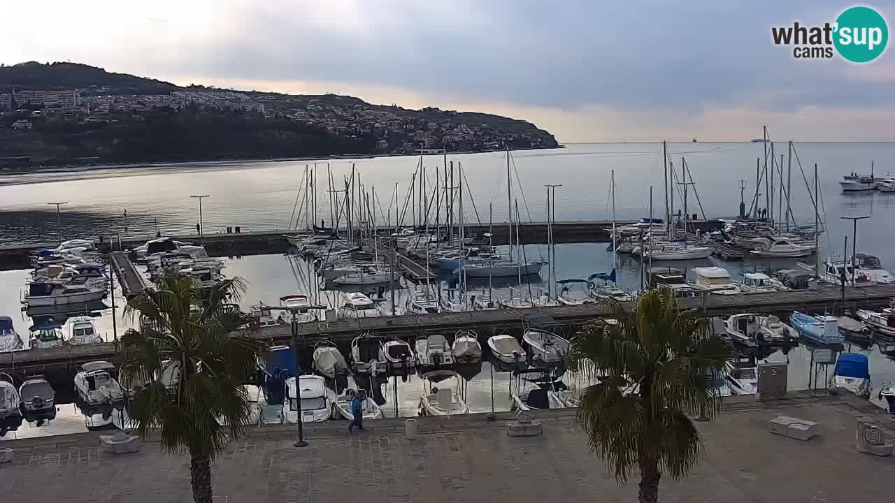 Webcam Koper – Panorama of the marina and promenade from the Grand Hotel Koper