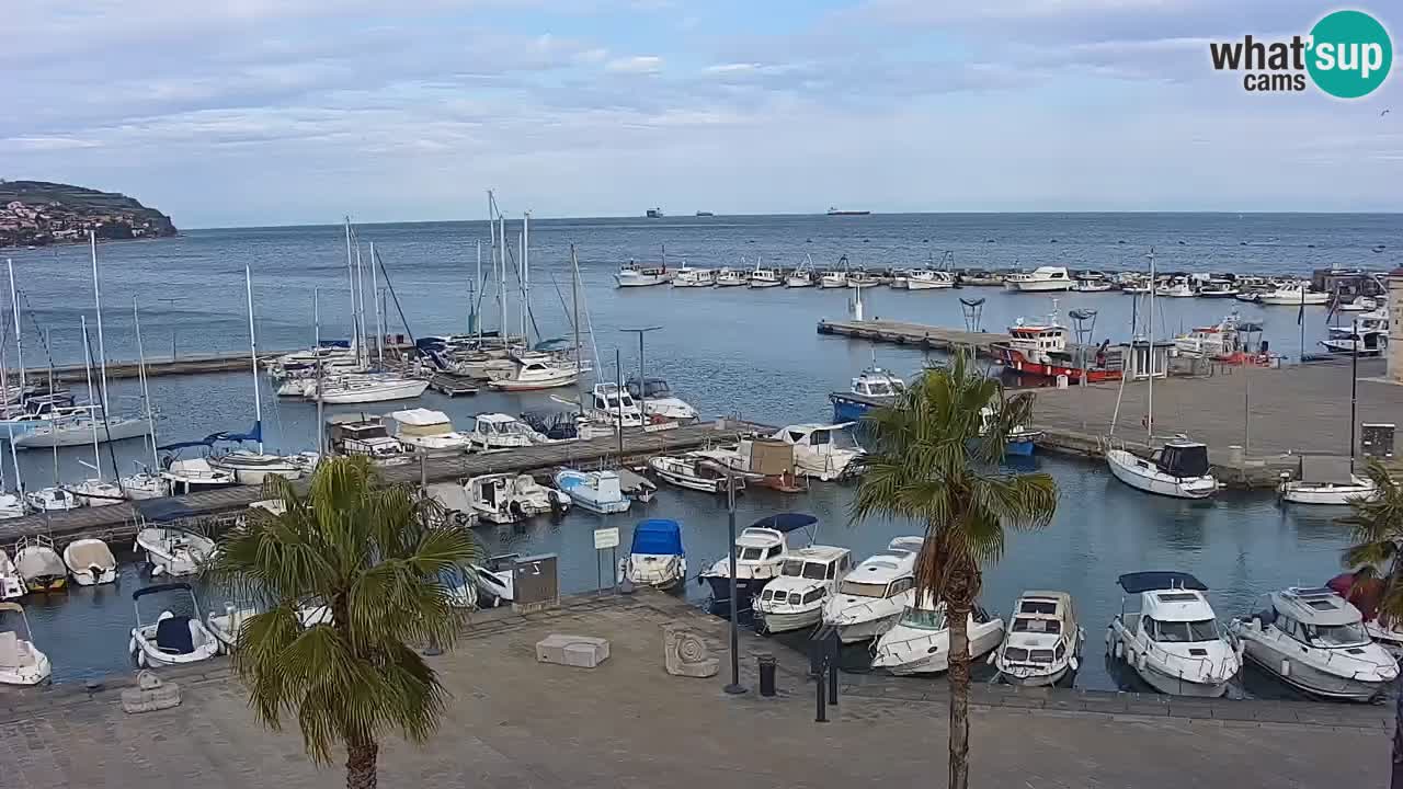 Spletna kamera Koper – Panorama na marino in promenado s Hotela Grand Koper