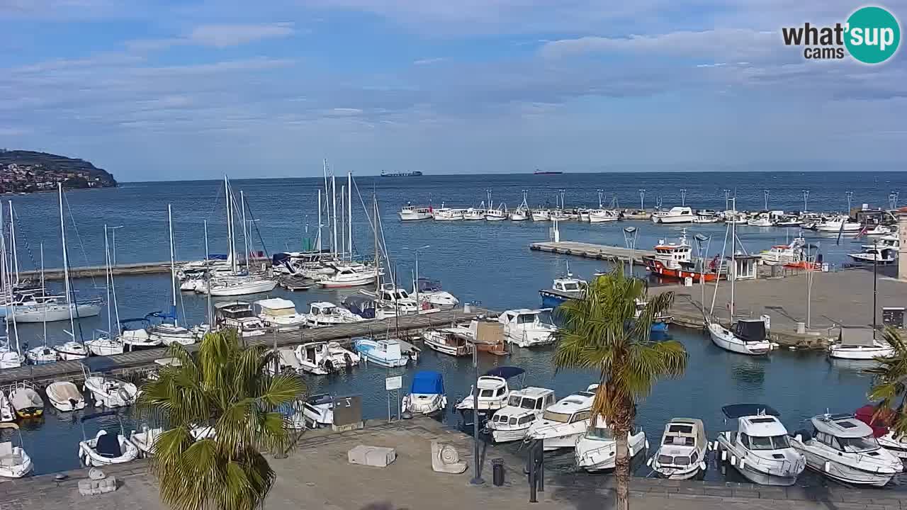 Camera en vivo Koper – puerto deportivo y paseo marítimo desde el Hotel Grand Koper