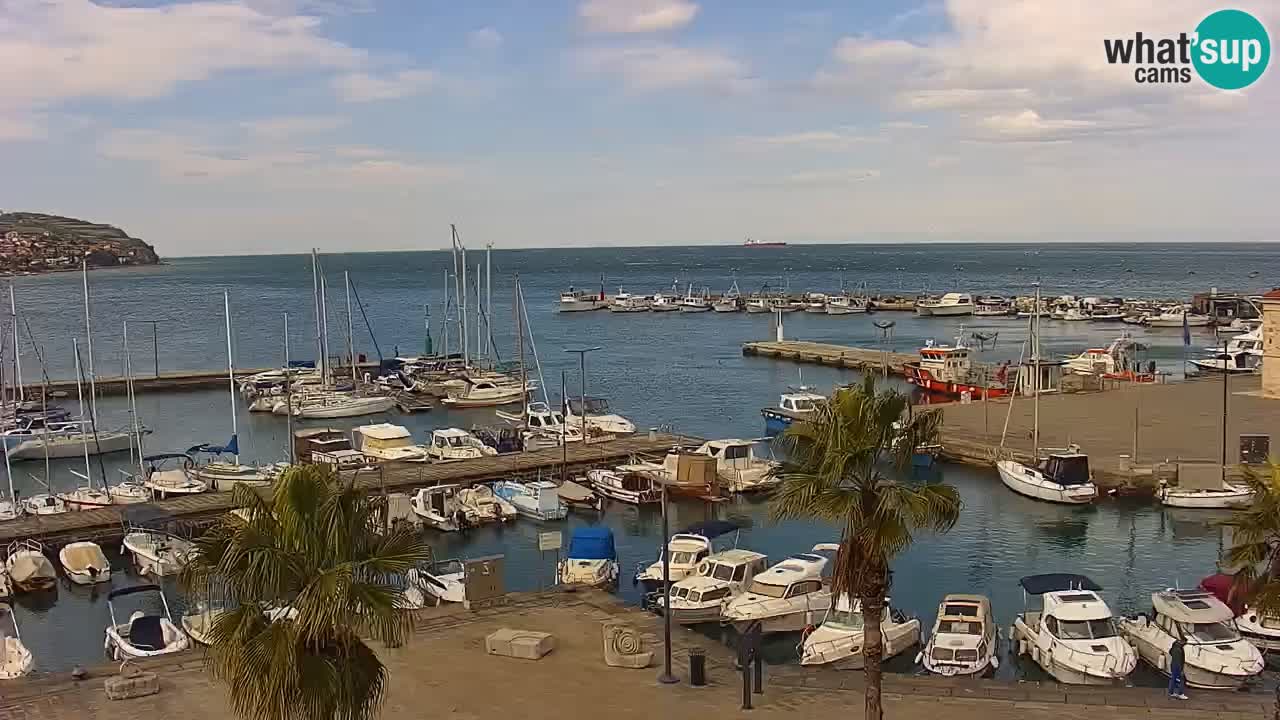 Spletna kamera Koper – Panorama na marino in promenado s Hotela Grand Koper