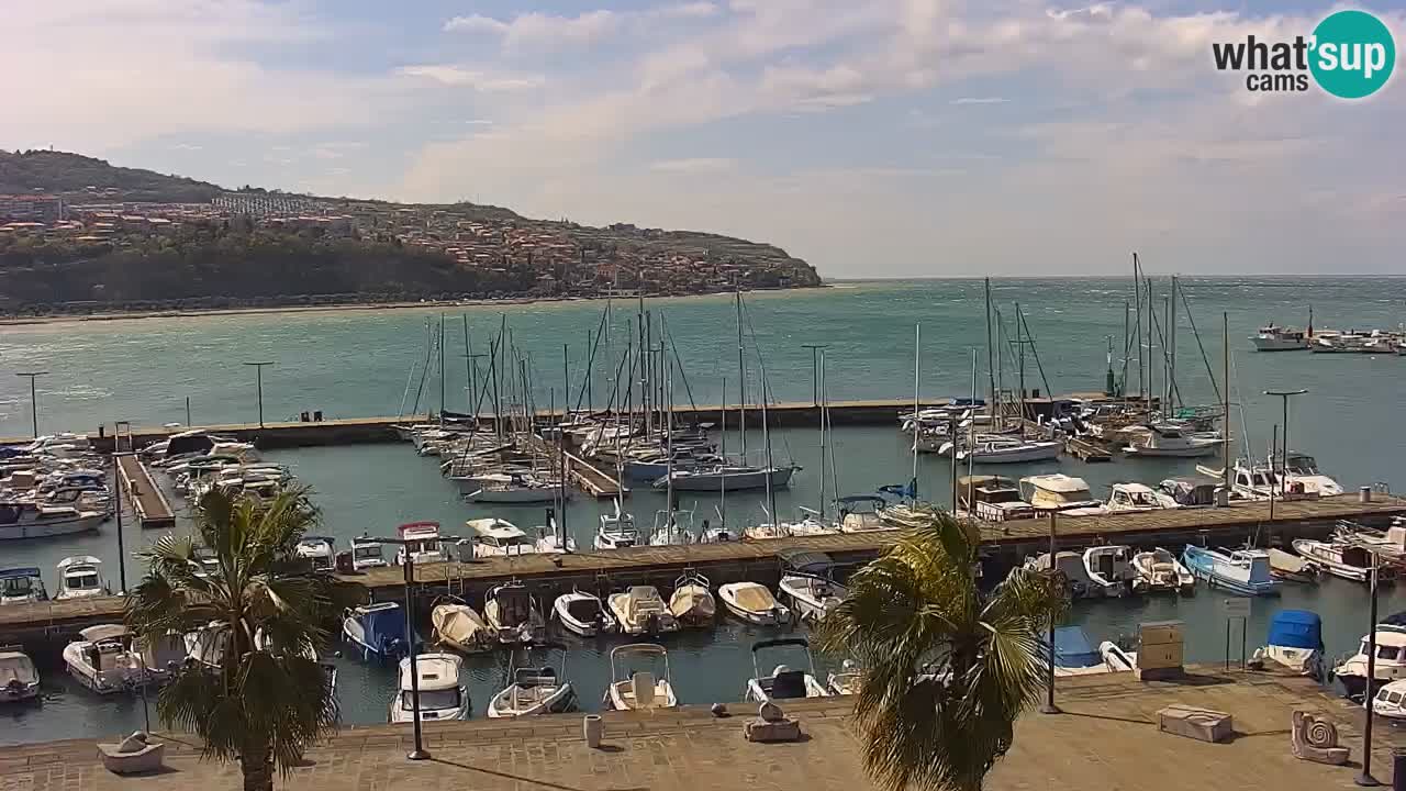 Spletna kamera Luka Koper v živo – Potniški terminal in tovorno pristanišče – Slovenija